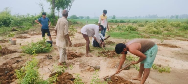 UDGI Foundation Celebrates Environment Day with 2,000 Trees Planted in Kura Meerpur